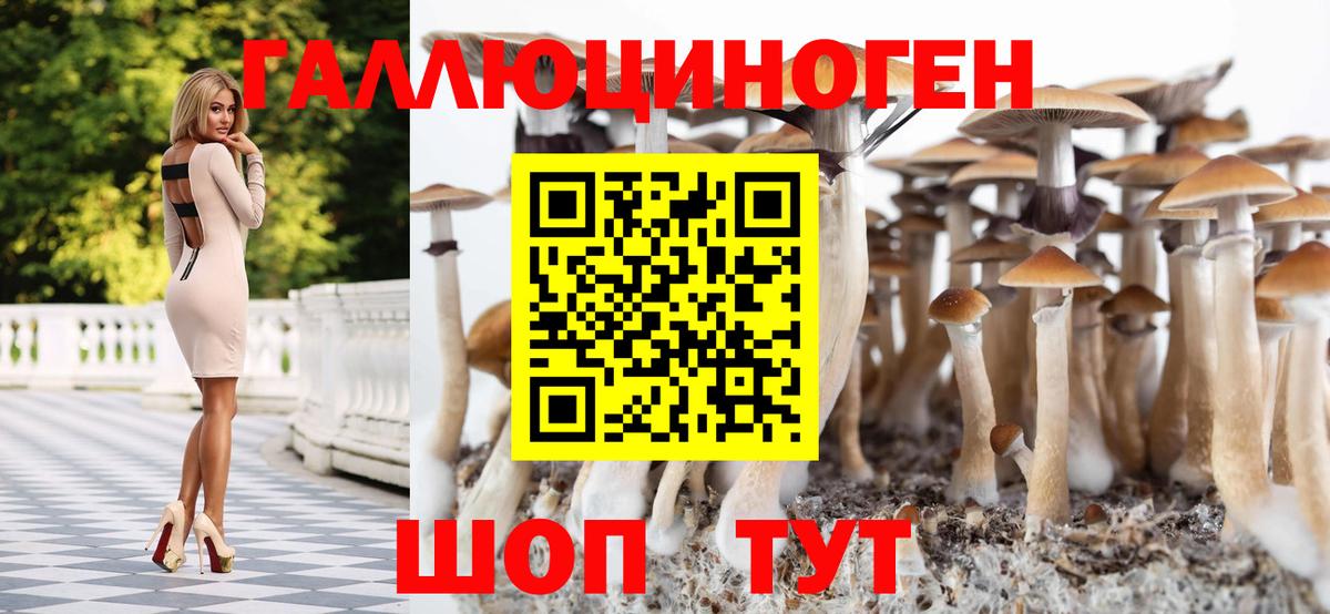 Галлюциногенные грибы Magic Shrooms Тында