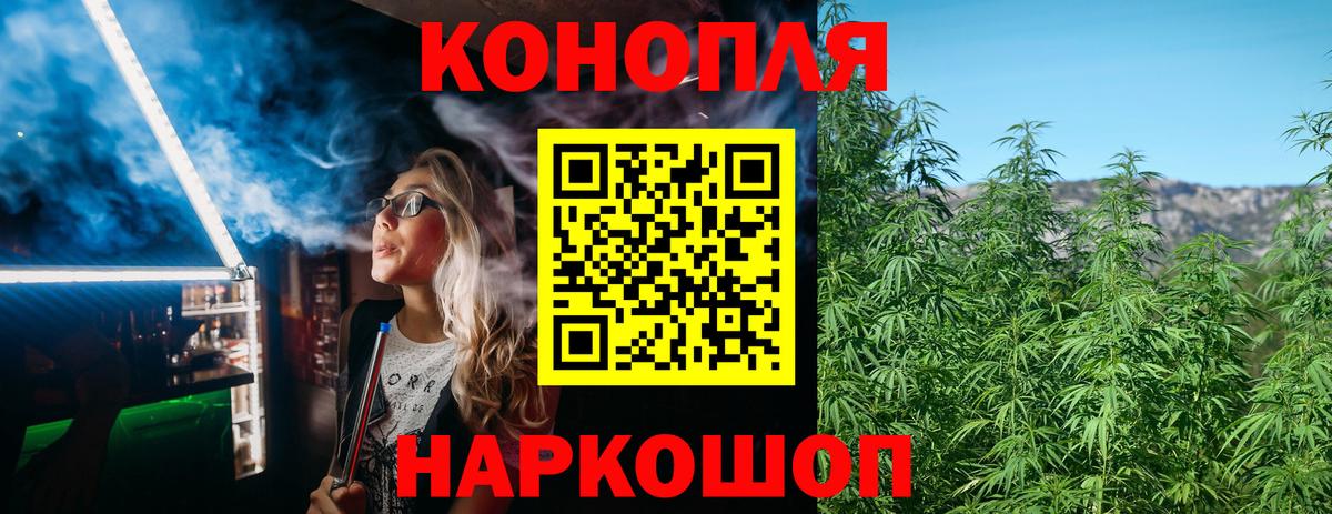 Бошки Шишки гибрид  Вход с VPN  Каннабис марихуана  Конопля планчик  Тында 